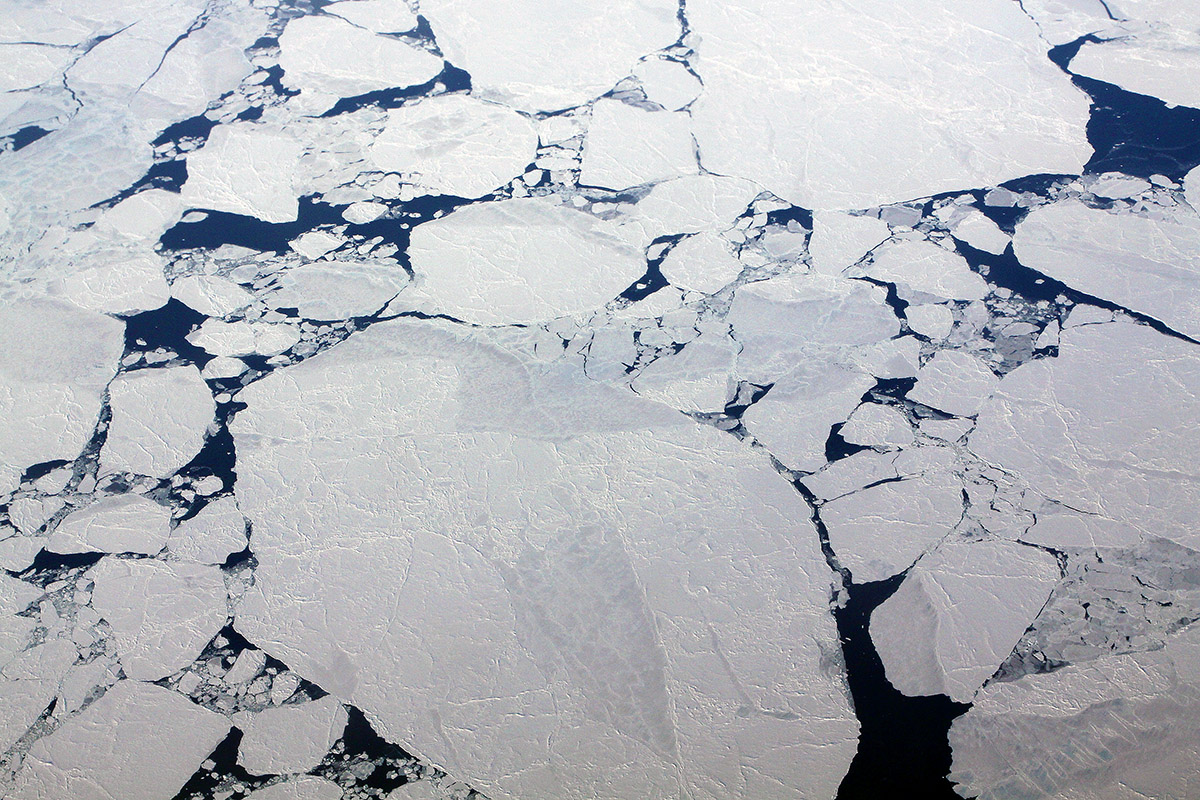 arctic/arctic_icebergs