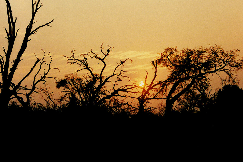botswana/chobe_sunset