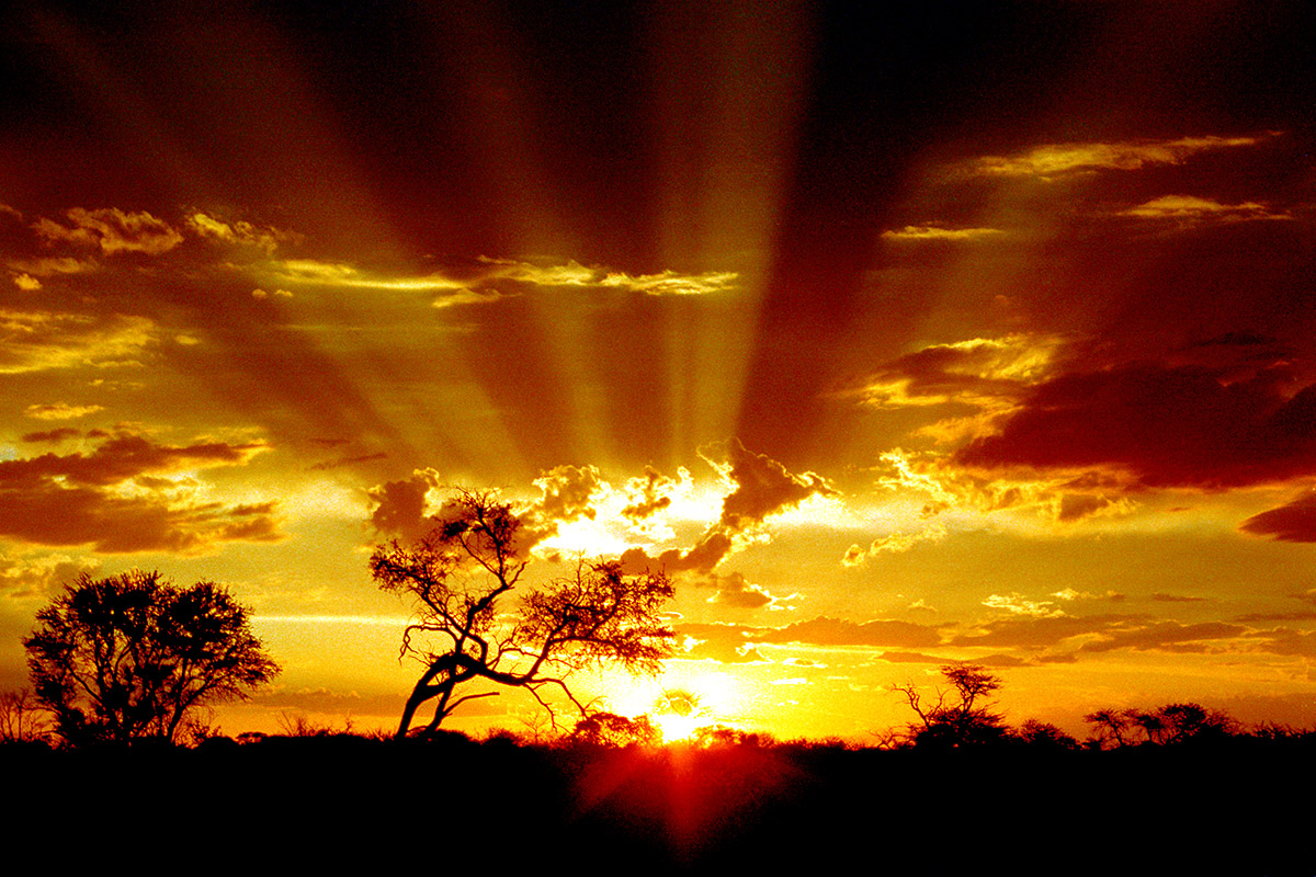 botswana/kalahari_sunset