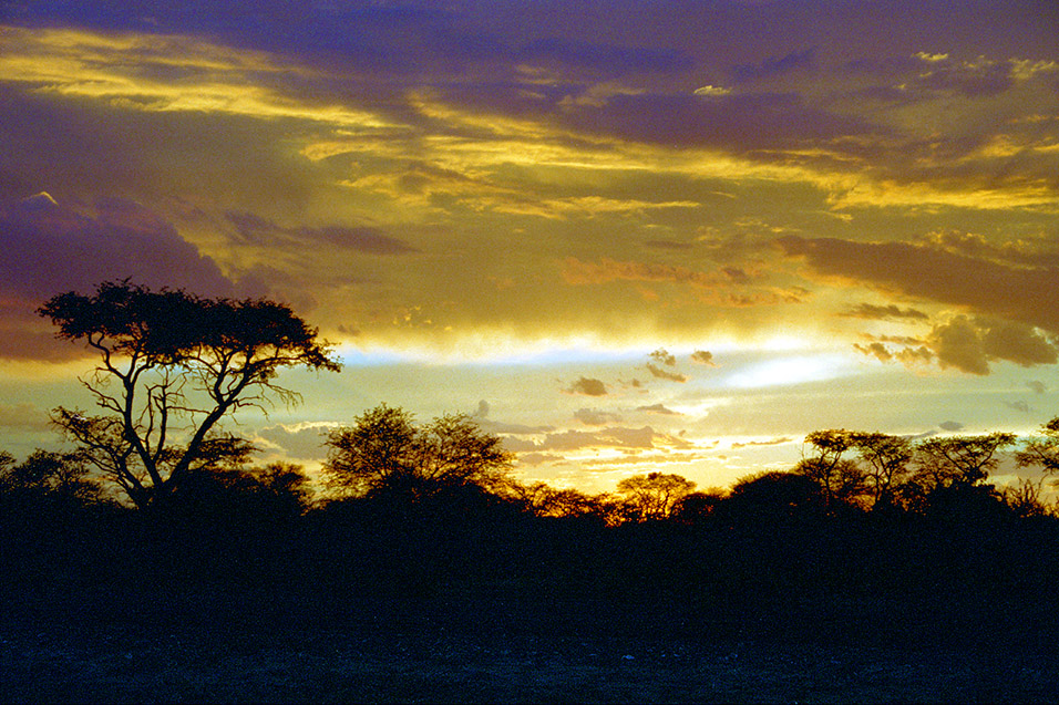botswana/kalahari_sunset_2