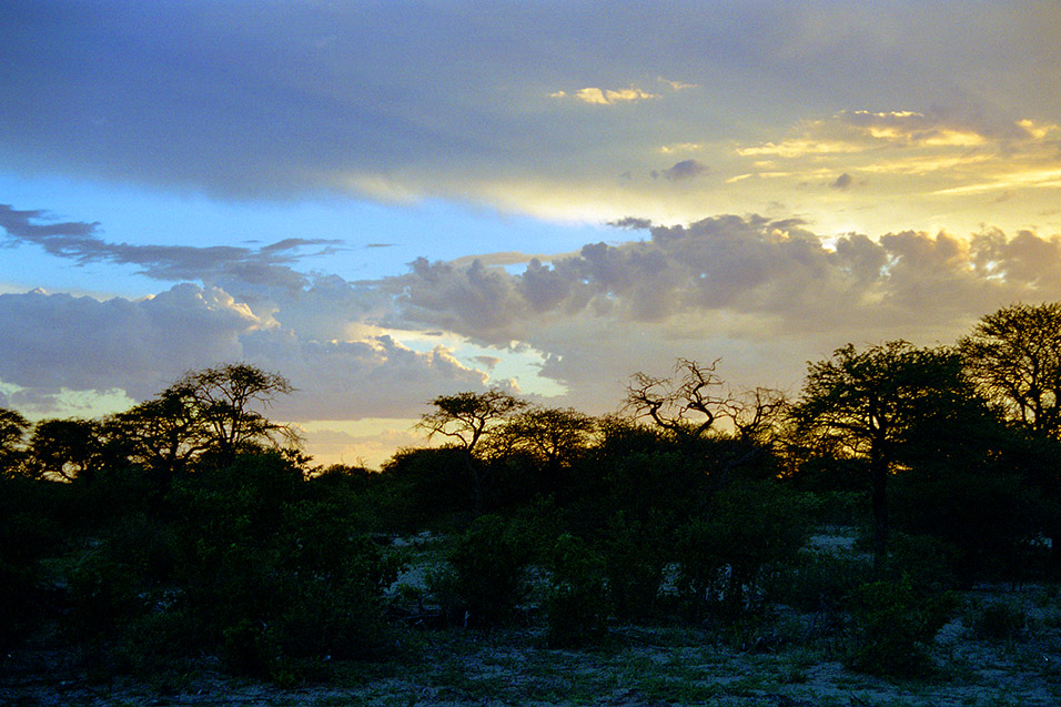 botswana/kalahari_sunset_3