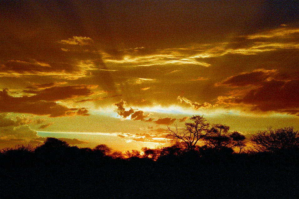 botswana/kalahari_sunset_4