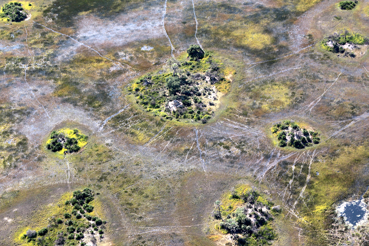 botswana/okavango_delta_aerial_view_2