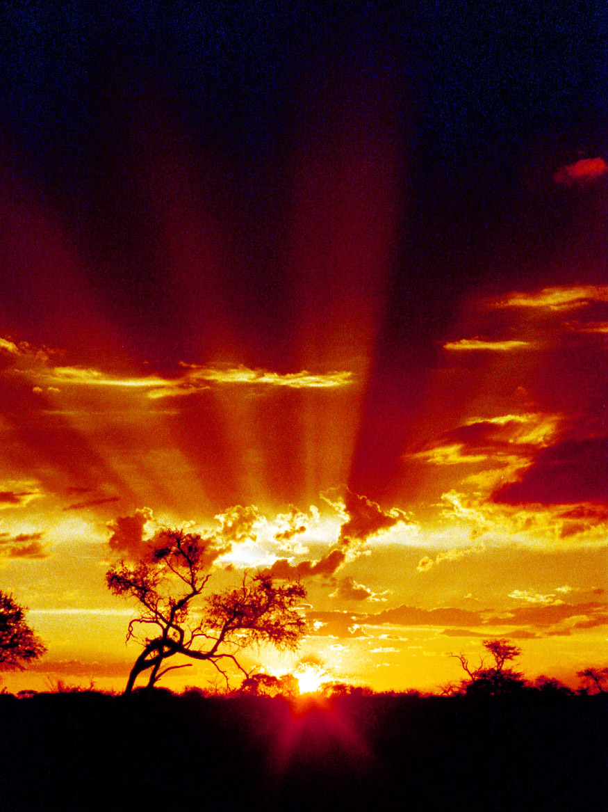 botswana/sunset_vertical