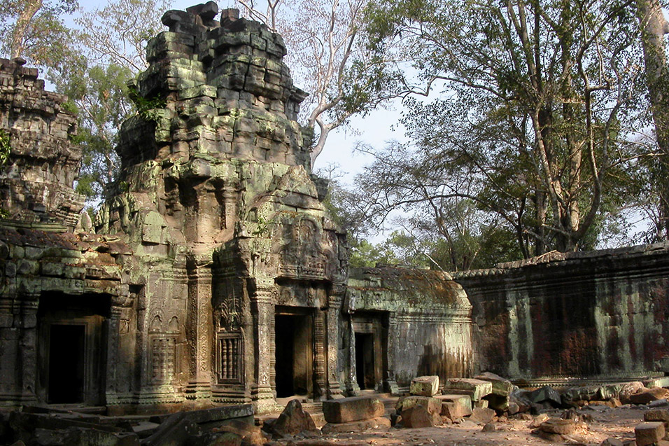 cambodia/angkor_ruin_trees