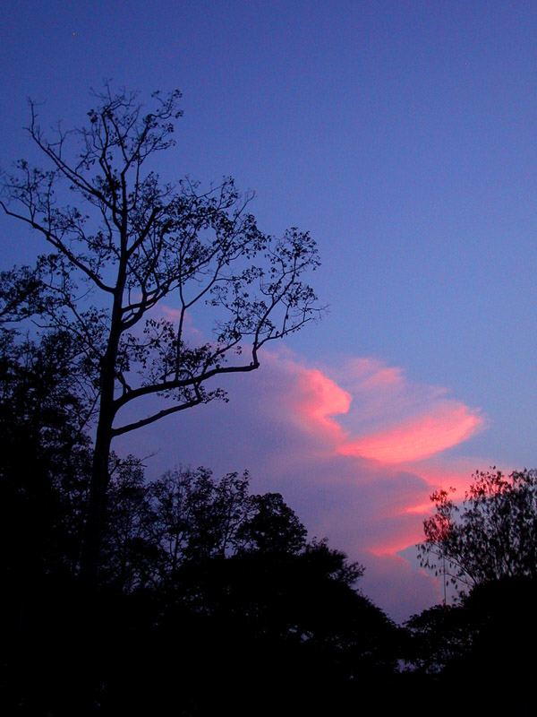 cambodia/angkor_sunset