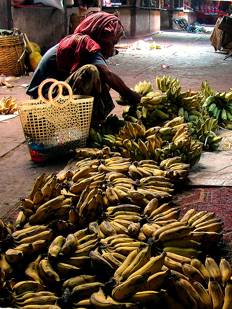 cambodia/kampot_bananas