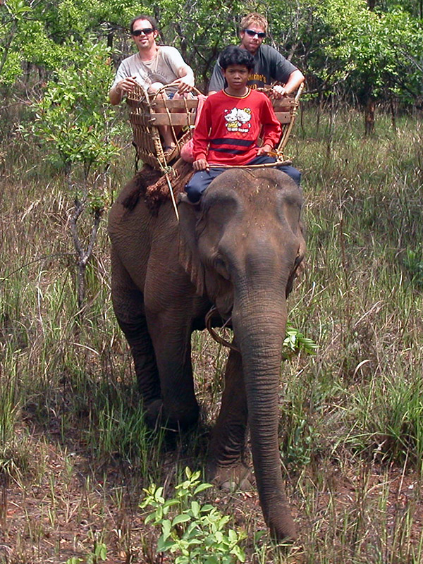cambodia/mondulkiri_brian_on_elephant