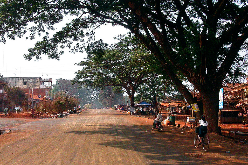 cambodia/road_tree