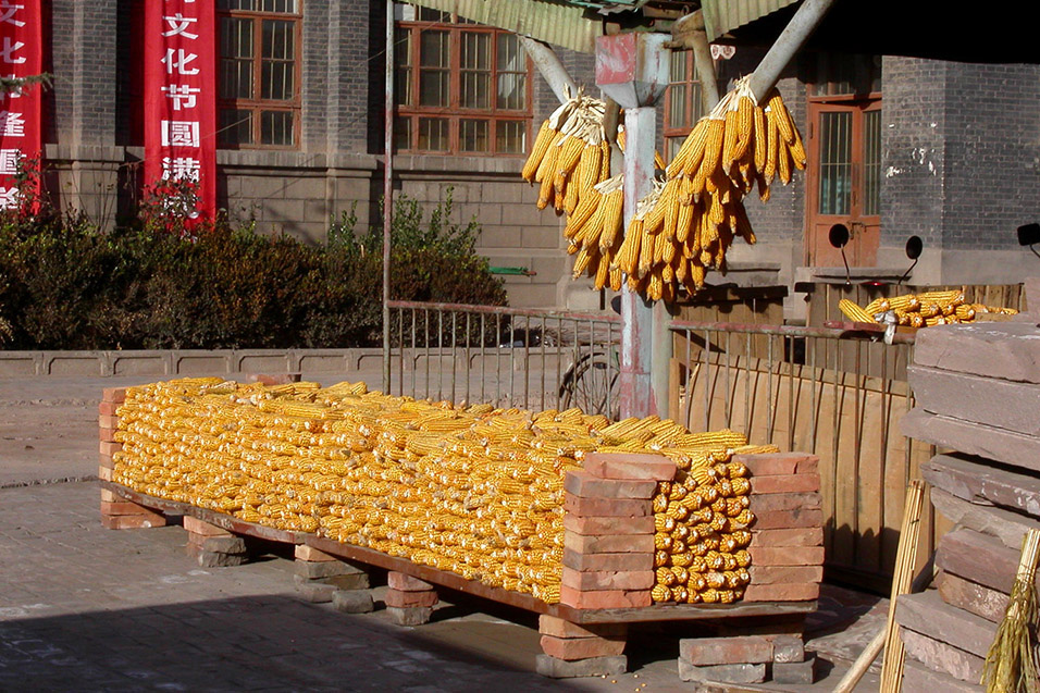 china/2004/pingyao_corn