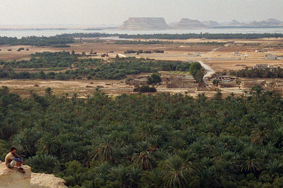 egypt/1996/siwa_brian_view