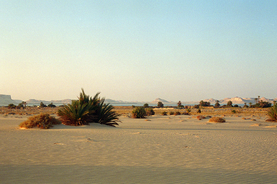 egypt/1996/siwa_desert