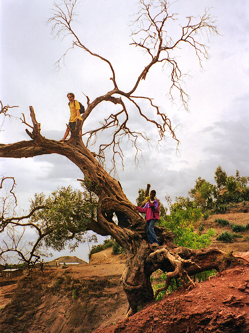 ethiopia/lalibela_st_george_tree
