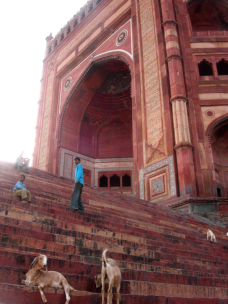 india/fatehpur_red_stairs_goats