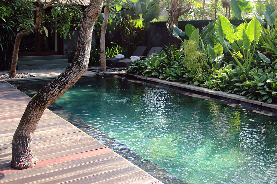 indonesia/ubud_kayumanis_pool_villa