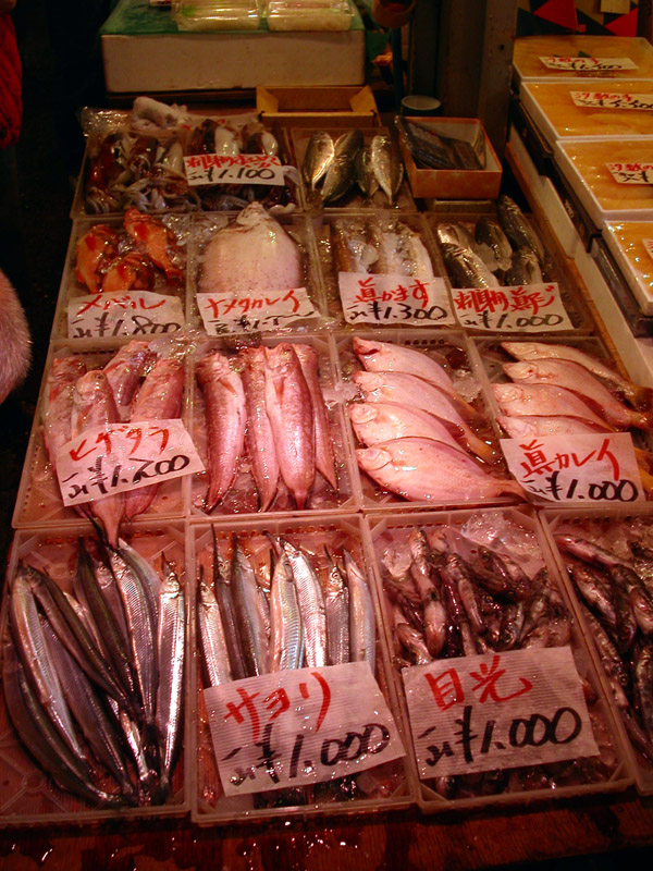 japan/2003/tokyo_tsukiji_fish