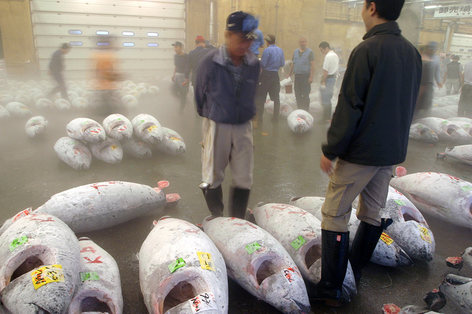 japan/2007/tsukiji_man_buying