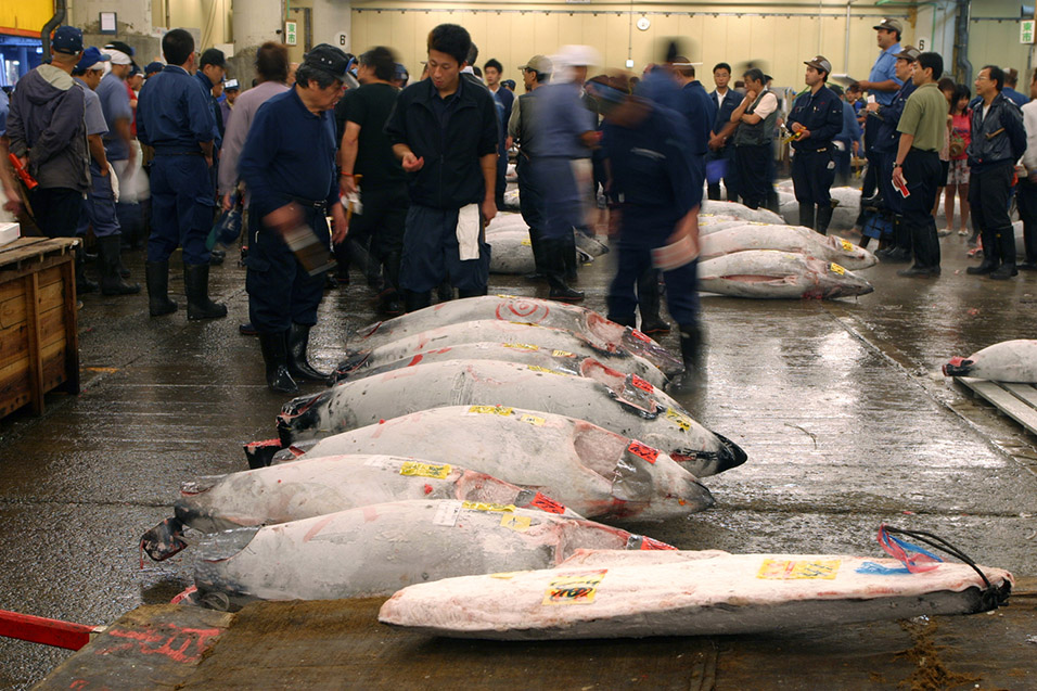 japan/2007/tsukiji_tuna_auction