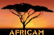 links/africam