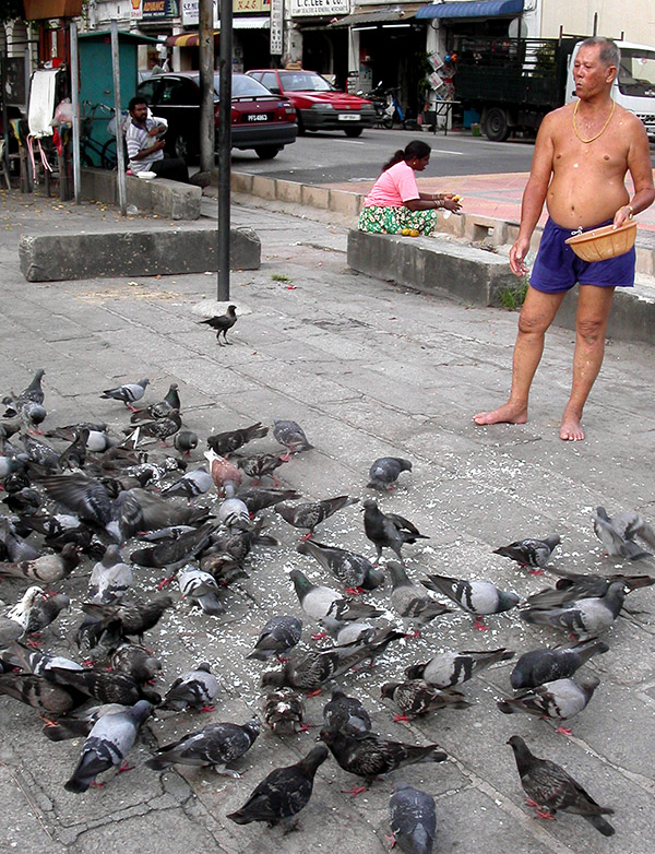 malaysia/2004/penang_feeding_pigeons