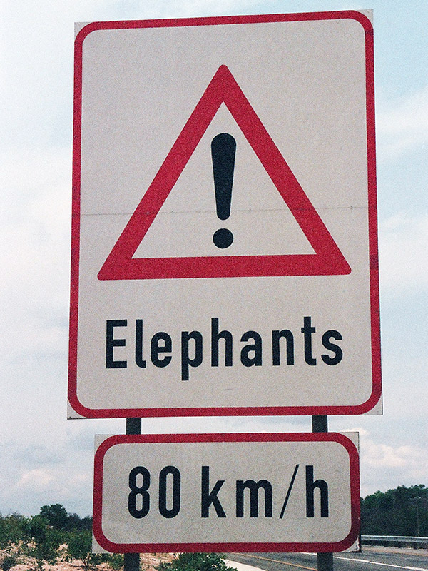 namibia/caprivi_elephants