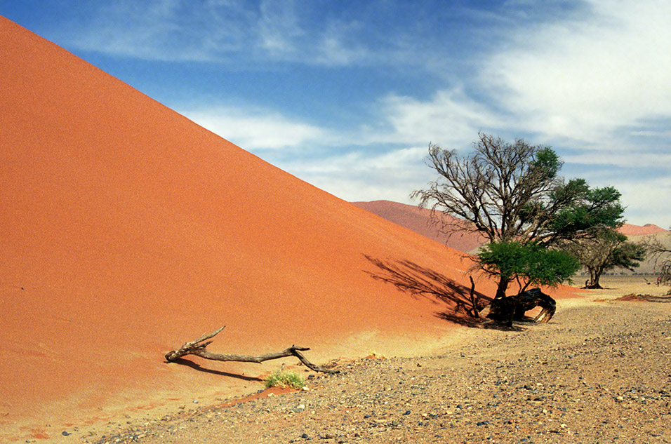 namibia/dune_45_end