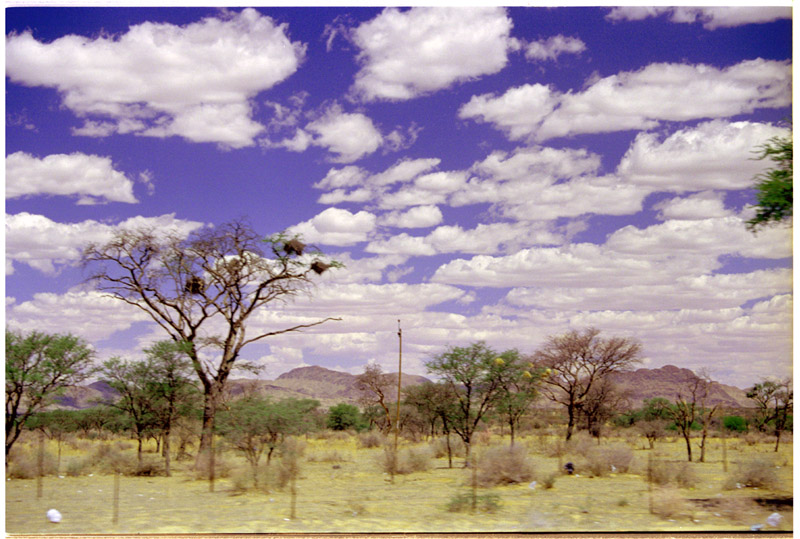 namibia/namib_moving_landscape