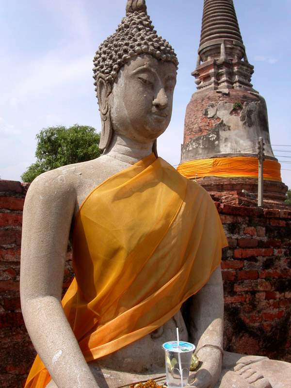 thailand/2004/ayutthaya_buddha_outside_cup