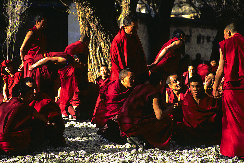 tibet/lhasa_monk_debating
