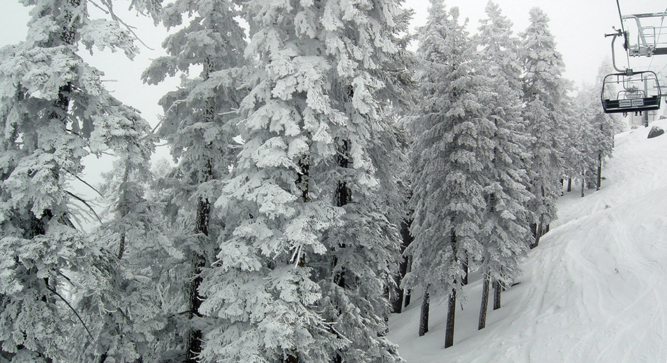 usa/california/nevada_diamond_peak_snow_trees