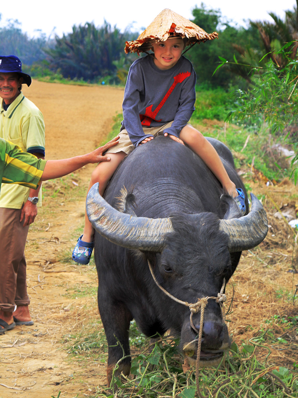 vietnam/2014/hoian_kai_water_buffalo