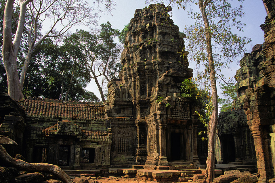 cambodia/angkor_tower_tiles_trees